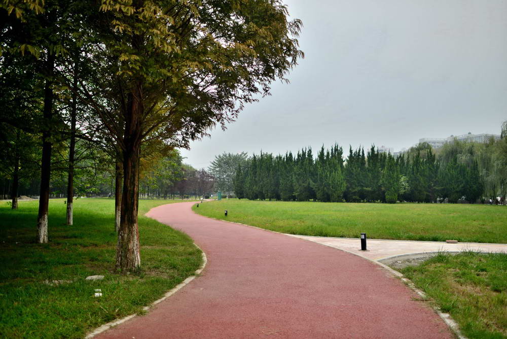 （彩色路面）許昌中央公園彩色瀝青道路